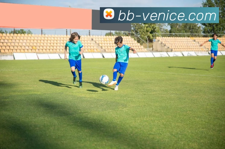 App Interface Preview