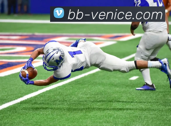 威尼斯人娱乐官网APP 封面图